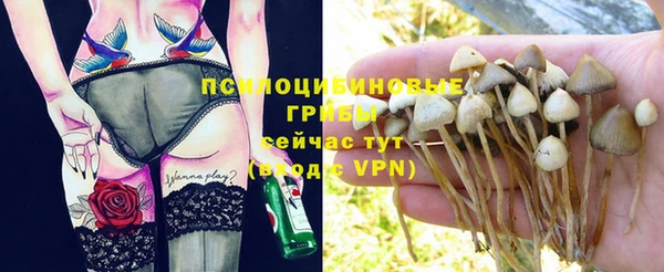 бутират Бородино