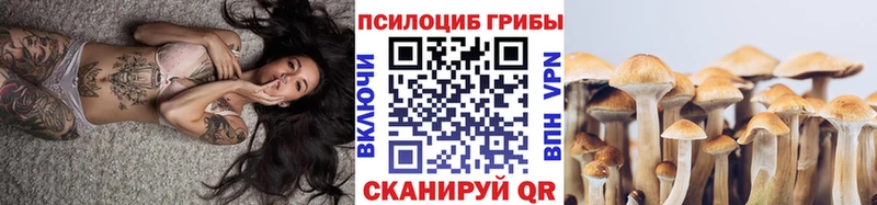 Галлюциногенные грибы MAGIC MUSHROOMS  купить  цена  Гусь-Хрустальный 