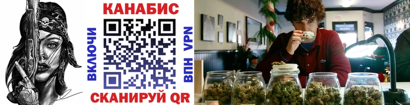 Конопля SATIVA & INDICA  Гусь-Хрустальный 